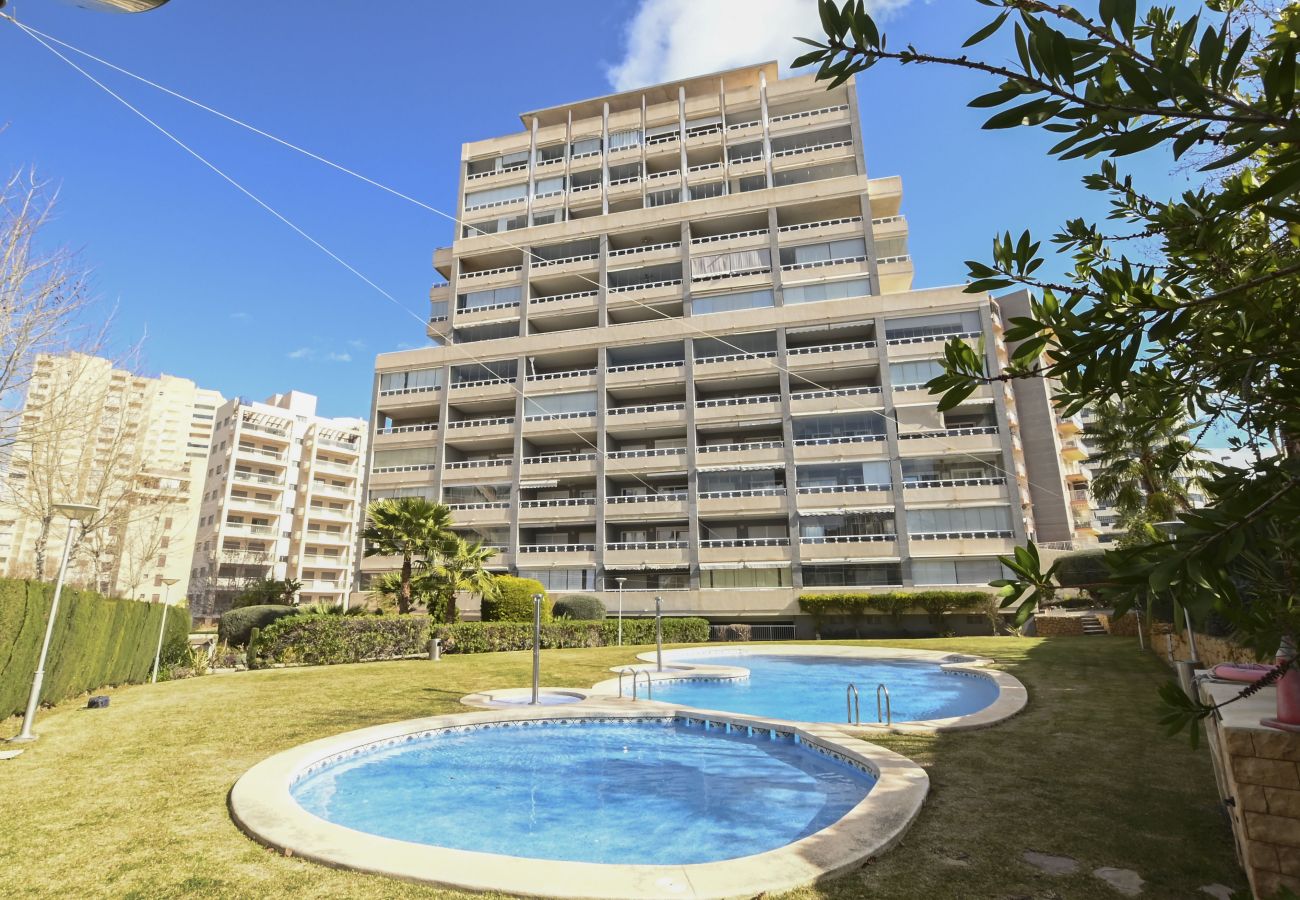 Apartamento en Calpe - A36 APOLO 18 3-16