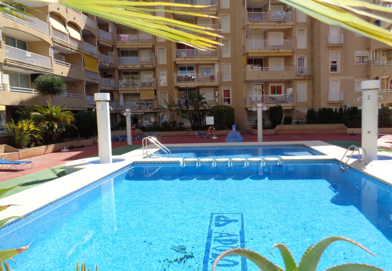 Ferienwohnung in Calpe / Calp - A08 APOLO 7 ESC 5 1º 3